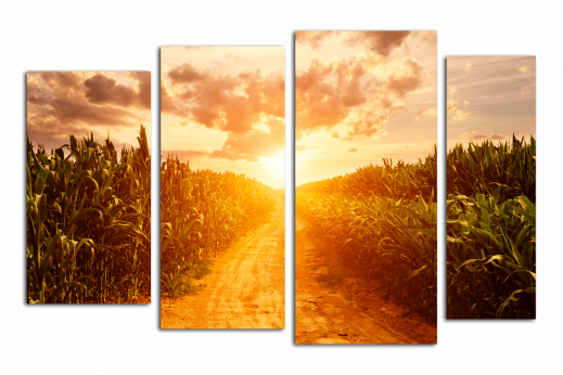 Модульная картина Кукурузное поле