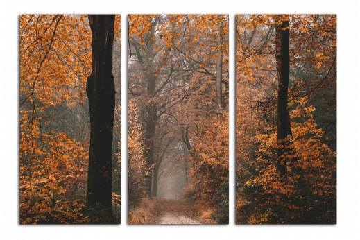 Модульная картина Осенняя дорога
